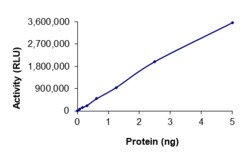 Sino Biological&nbsp;Recombinant Canine NNMT Protein (Full Length, GST Tag), Active